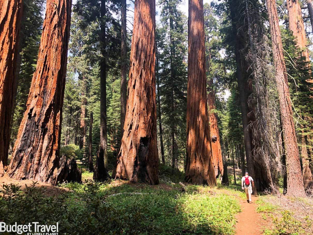 Sequoia Zoom Meeting