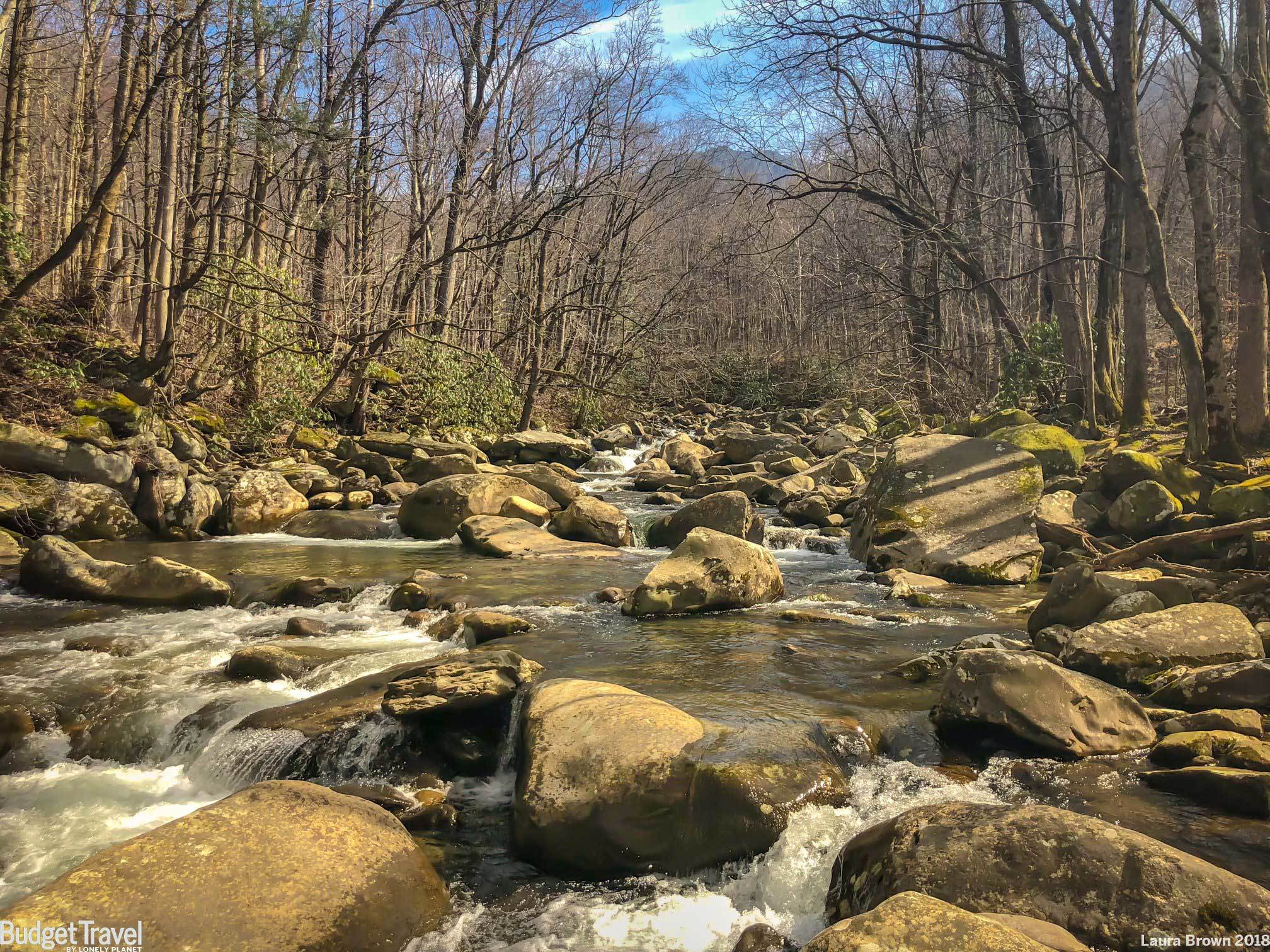 Smokies Zoom Meeting