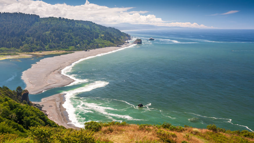 Shutterstock Rf 1136107673
