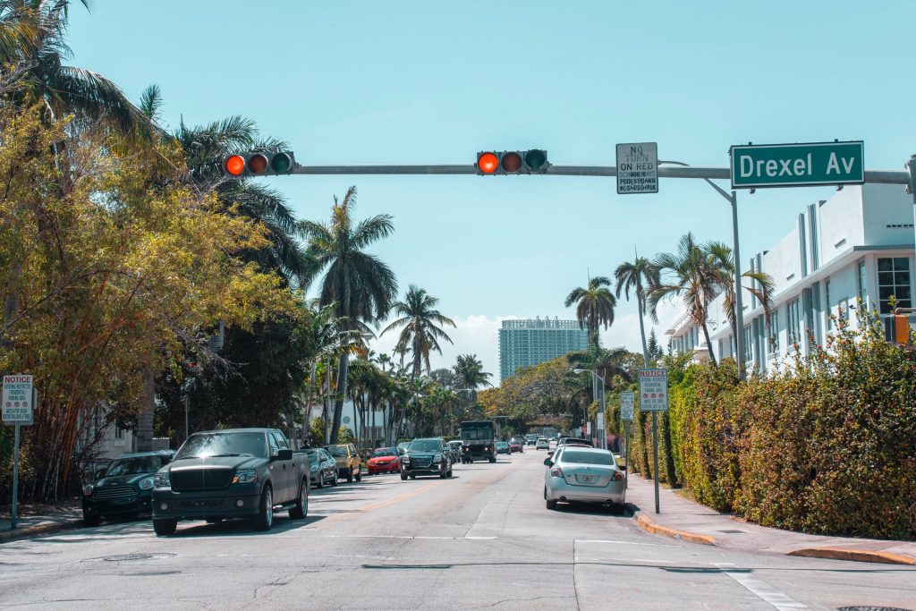 Cars stopped at a red light on a palm tree lined road