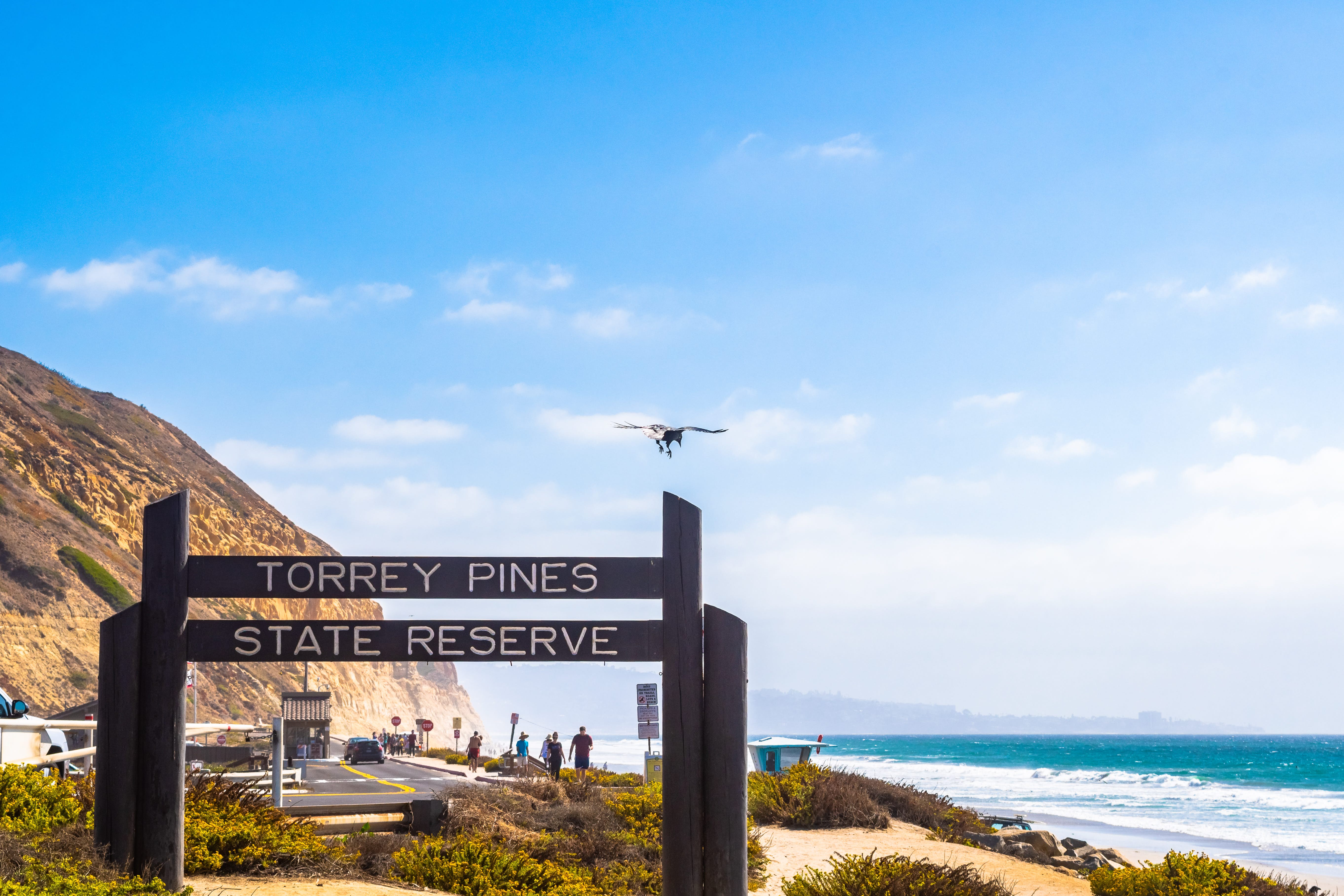 Wooden sign saying "Torrey Pines State Reserve" in La Jolla
