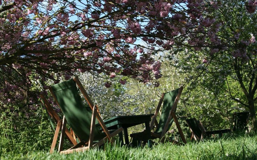 The Orchard Tea Garden, Cambridge
