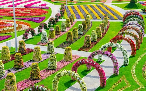 Dubai Miracle Garden, UAE