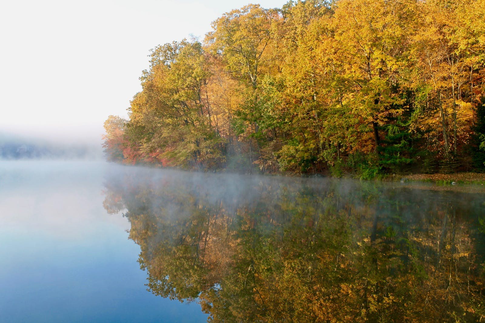 Trees with fall foliage border a lake with fog