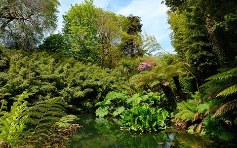 The Lost Gardens Heligan